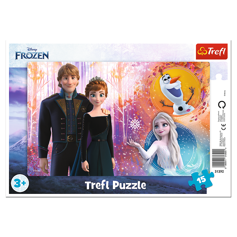 Frozen framepuzzel