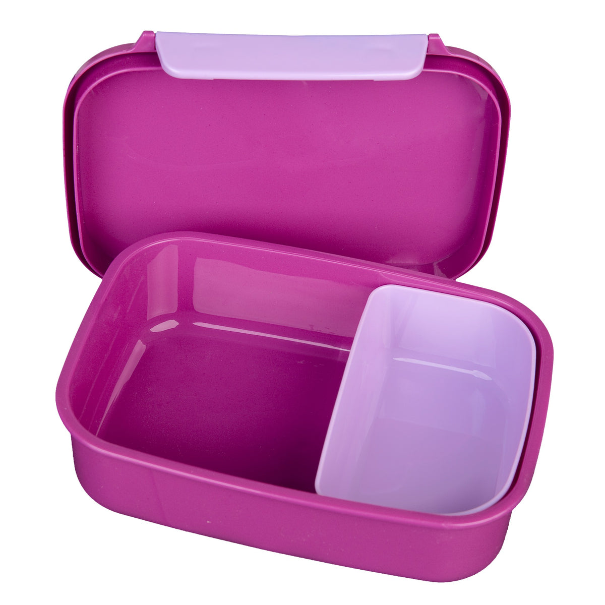 Rainbow High lunchbox