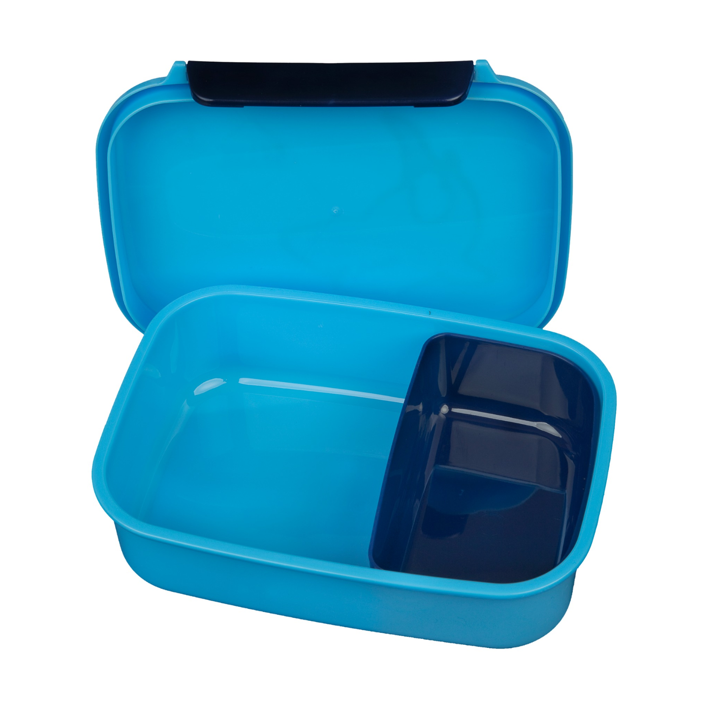 Shark lunchbox