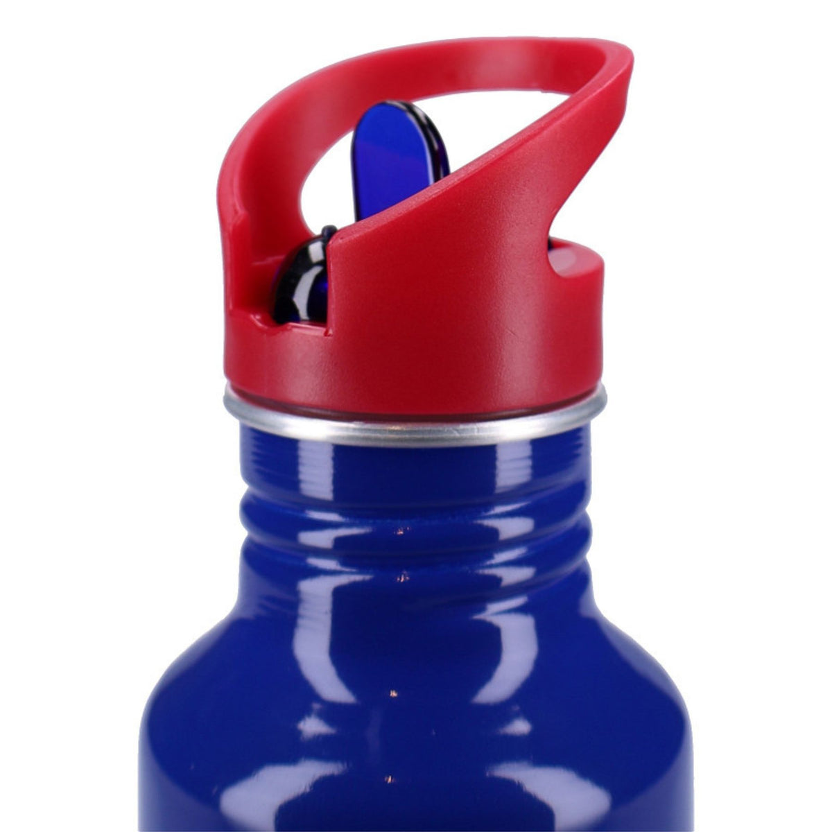 Sonic drinkfles