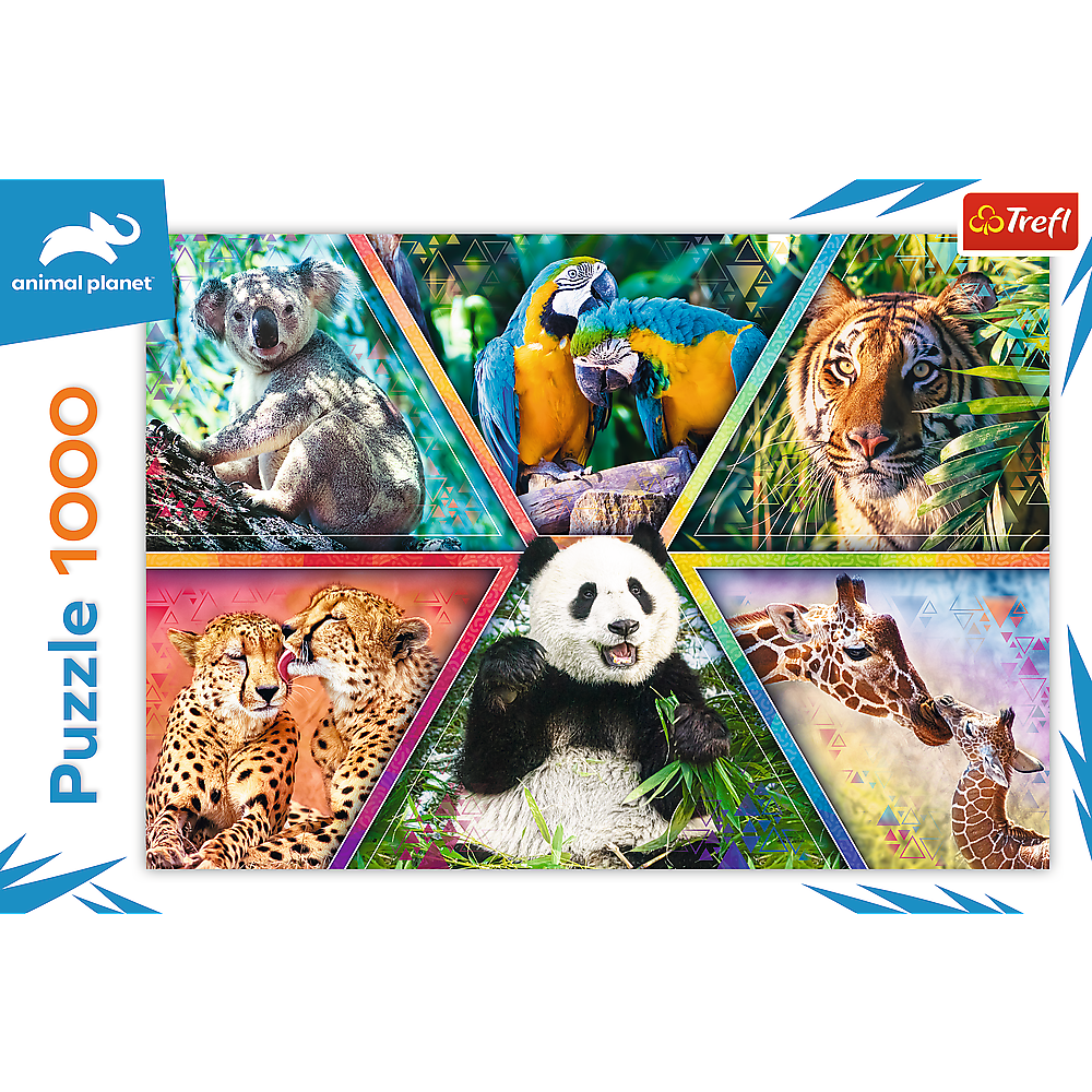 Puzzel - Animal Kingdom