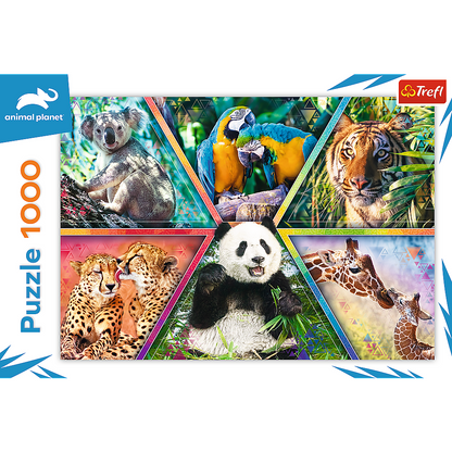 Puzzel - Animal Kingdom