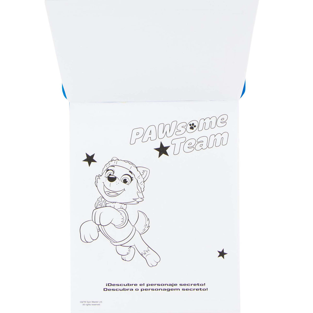 Paw Patrol magische kleurset