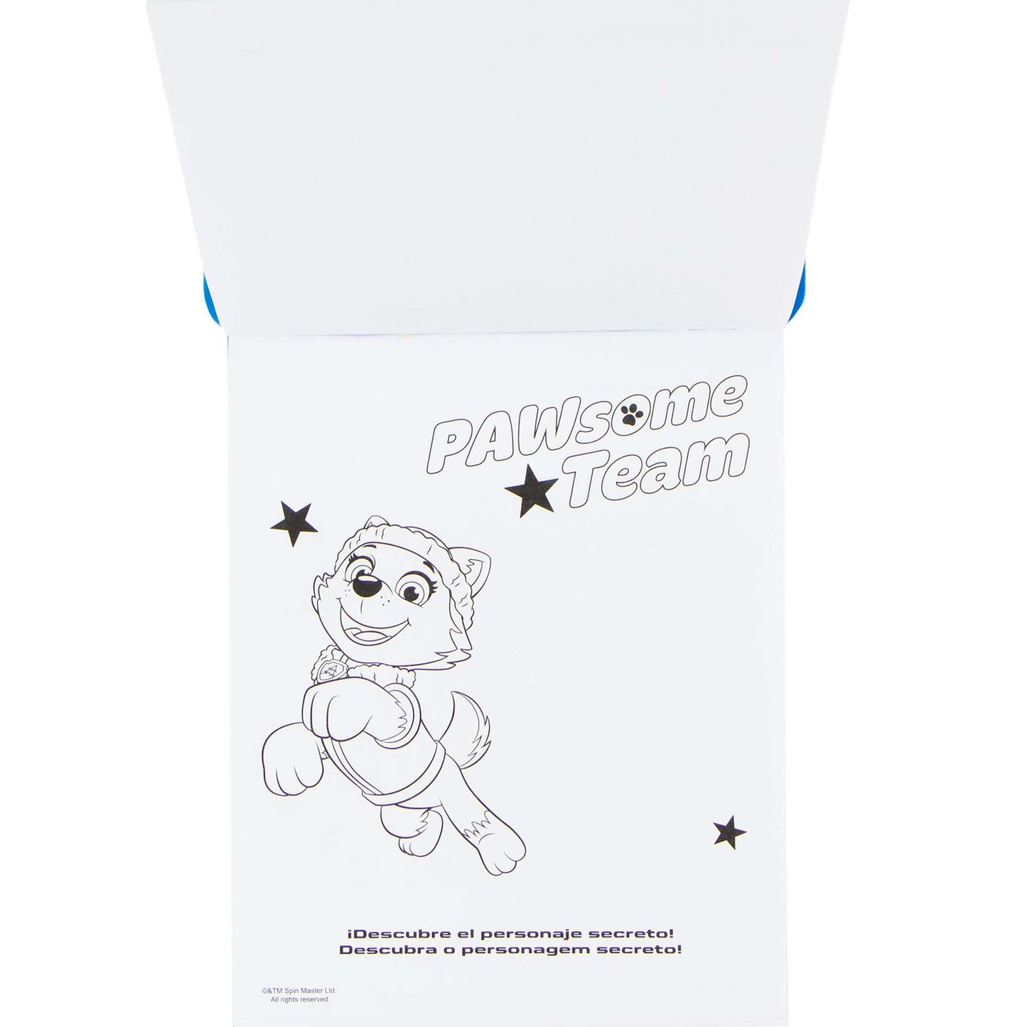 Paw Patrol Magisch inkt set