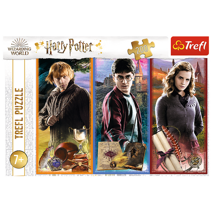 Harry Potter Puzzel - In the world of magic and witchcraft