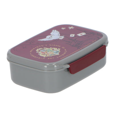 Harry Potter lunchbox
