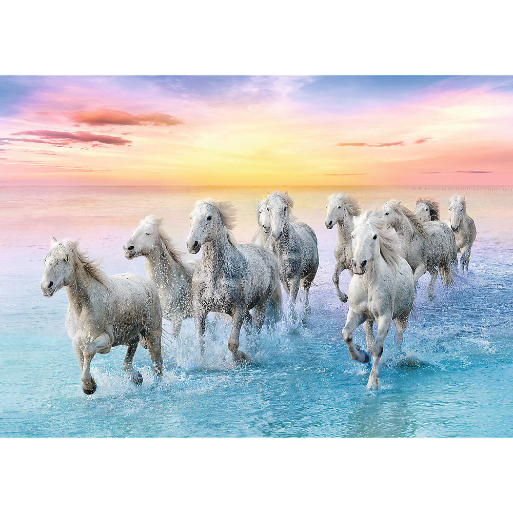 Puzzel - Galloping white horses