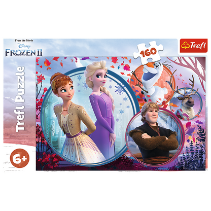 Frozen puzzel
