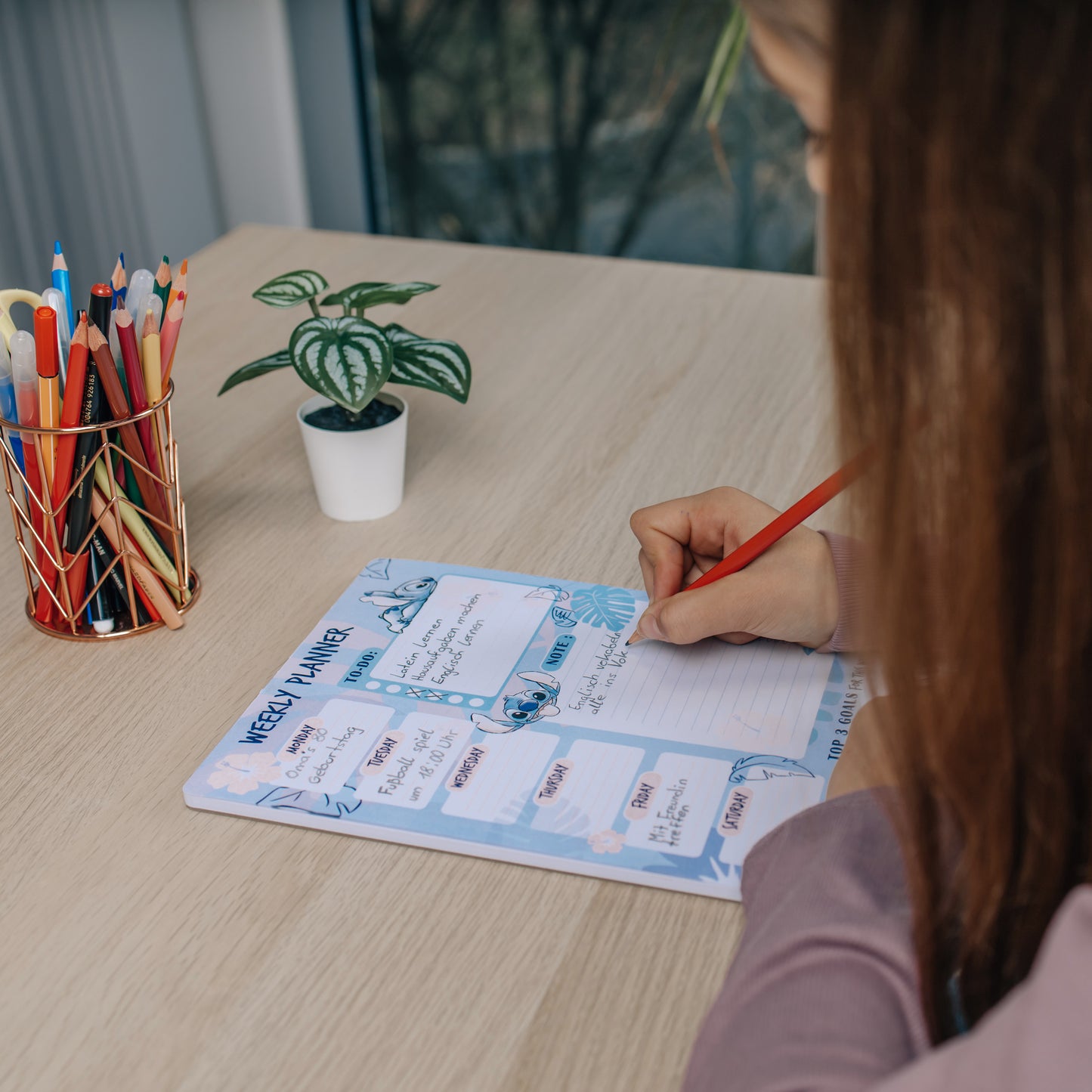 Lilo & Stitch Weekplanner