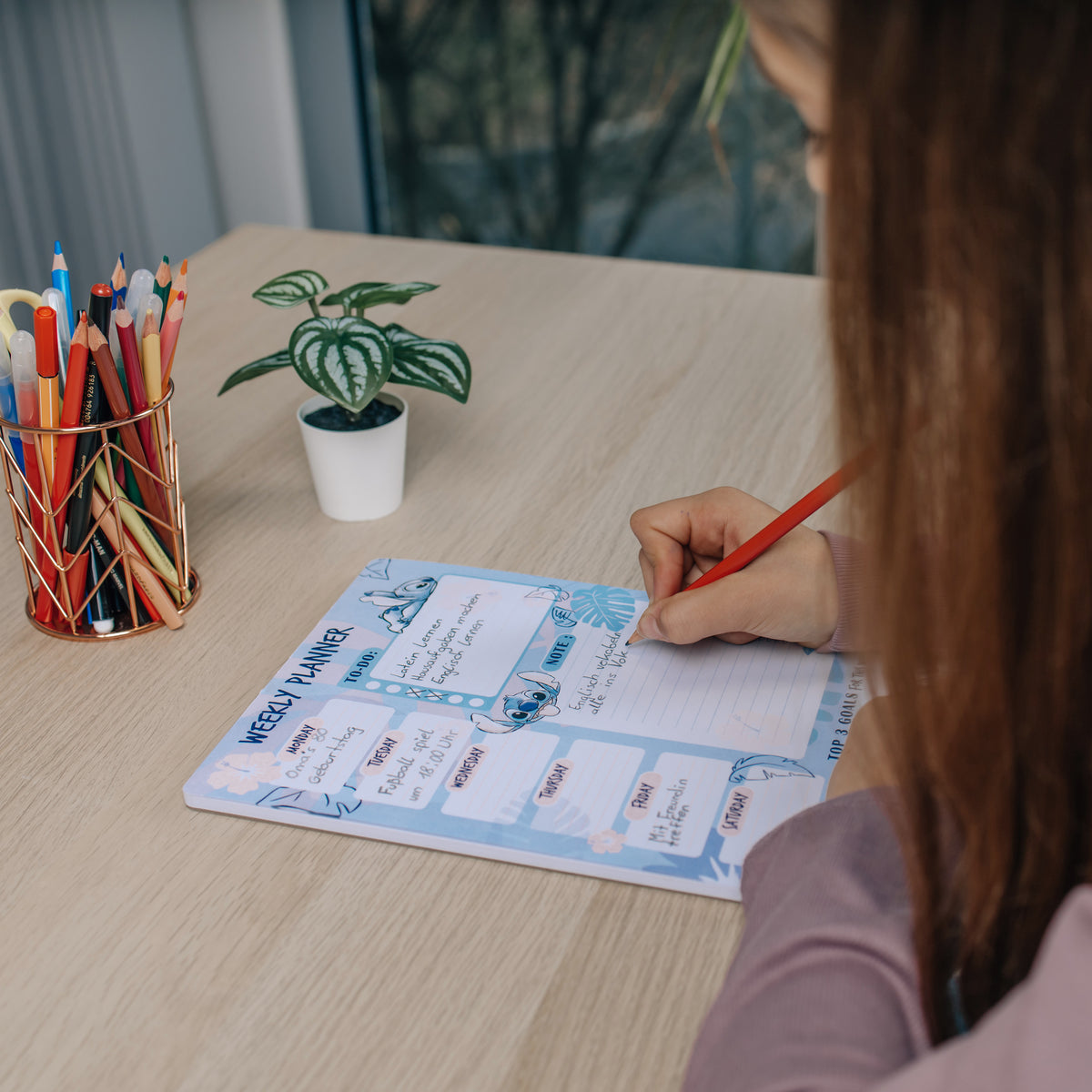 Lilo & Stitch weekplanner