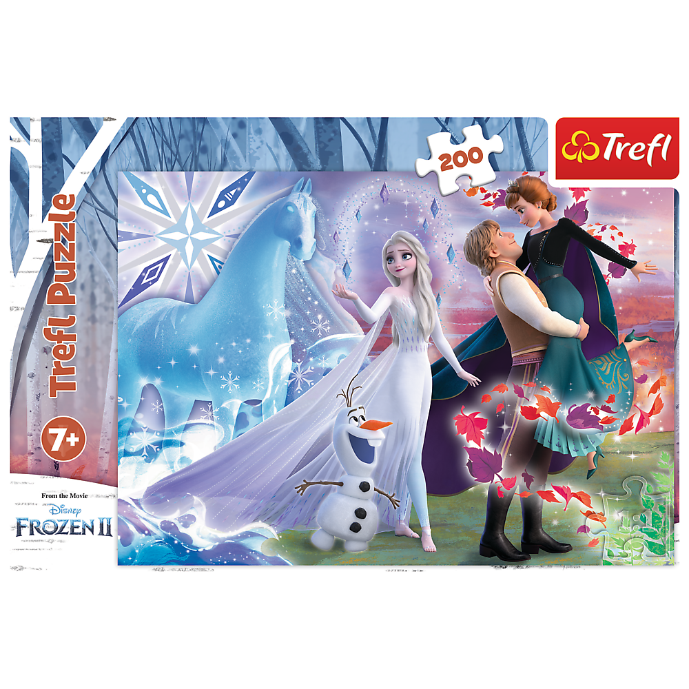 Frozen Puzzel - Magic sister's world