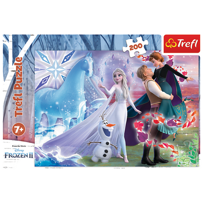 Frozen Puzzel - Magic sister's world