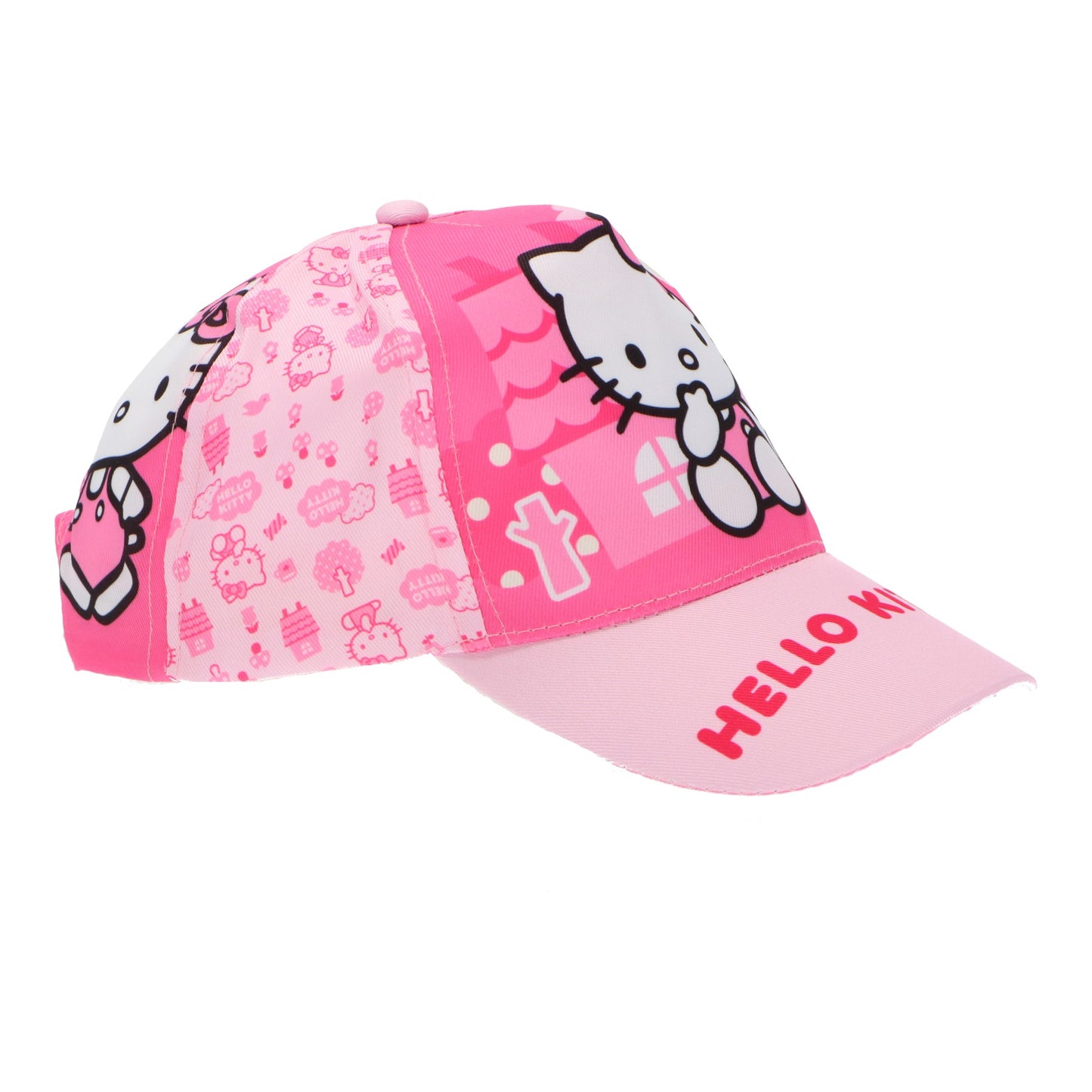 Hello Kitty pet