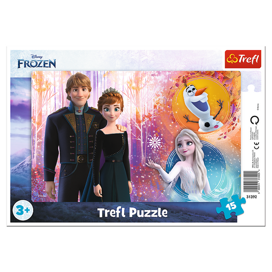Frozen framepuzzel