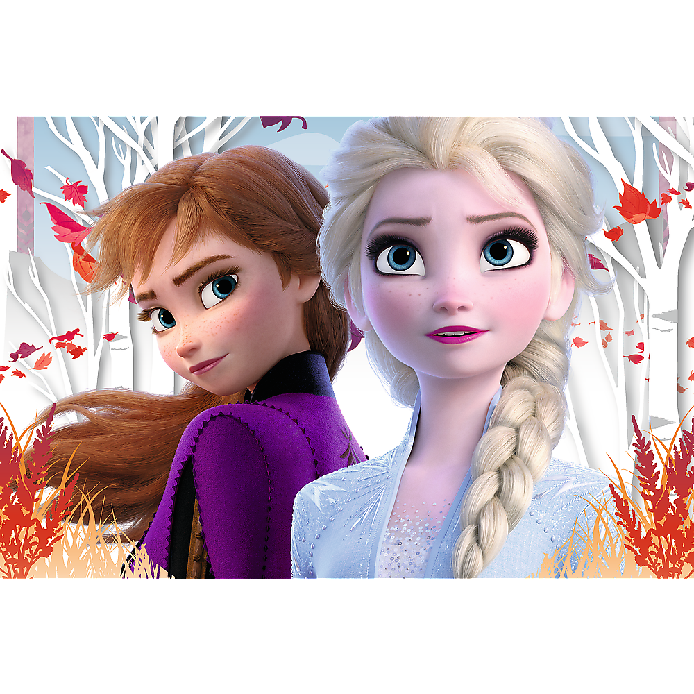Frozen Puzzel