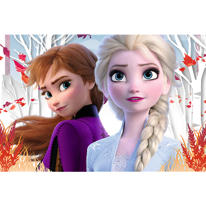 Frozen Puzzel