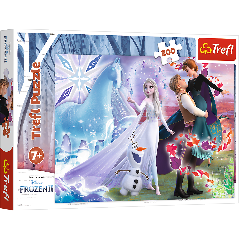 Frozen Puzzel - Magic sister's world