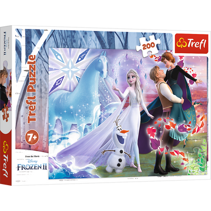 Frozen Puzzel - Magic sister's world