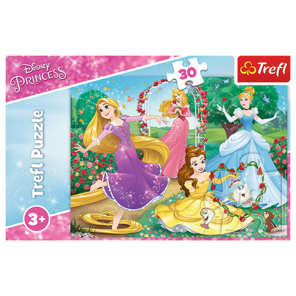 Princess Puzzel