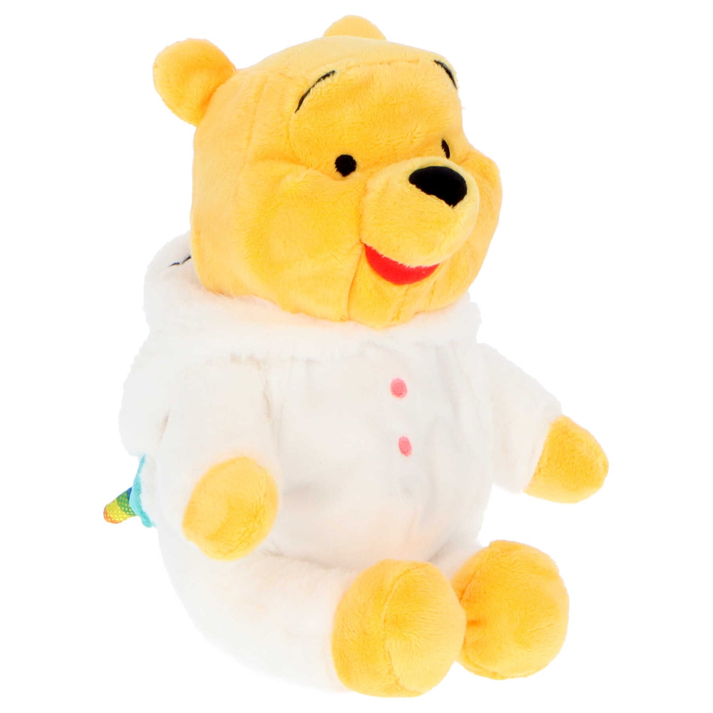 Winnie the Pooh Pluche