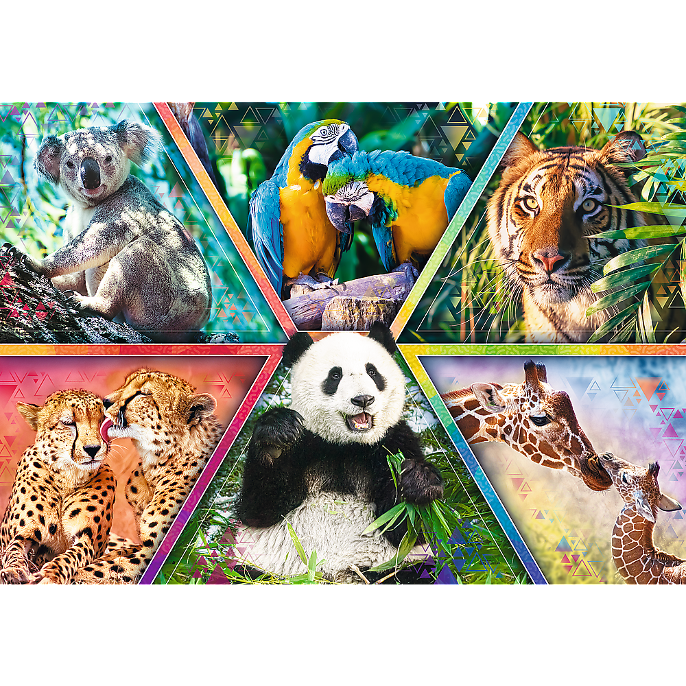 Puzzel - Animal Kingdom