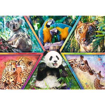 Puzzel - Animal Kingdom