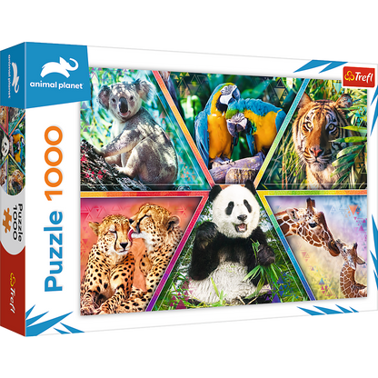 Puzzel - Animal Kingdom