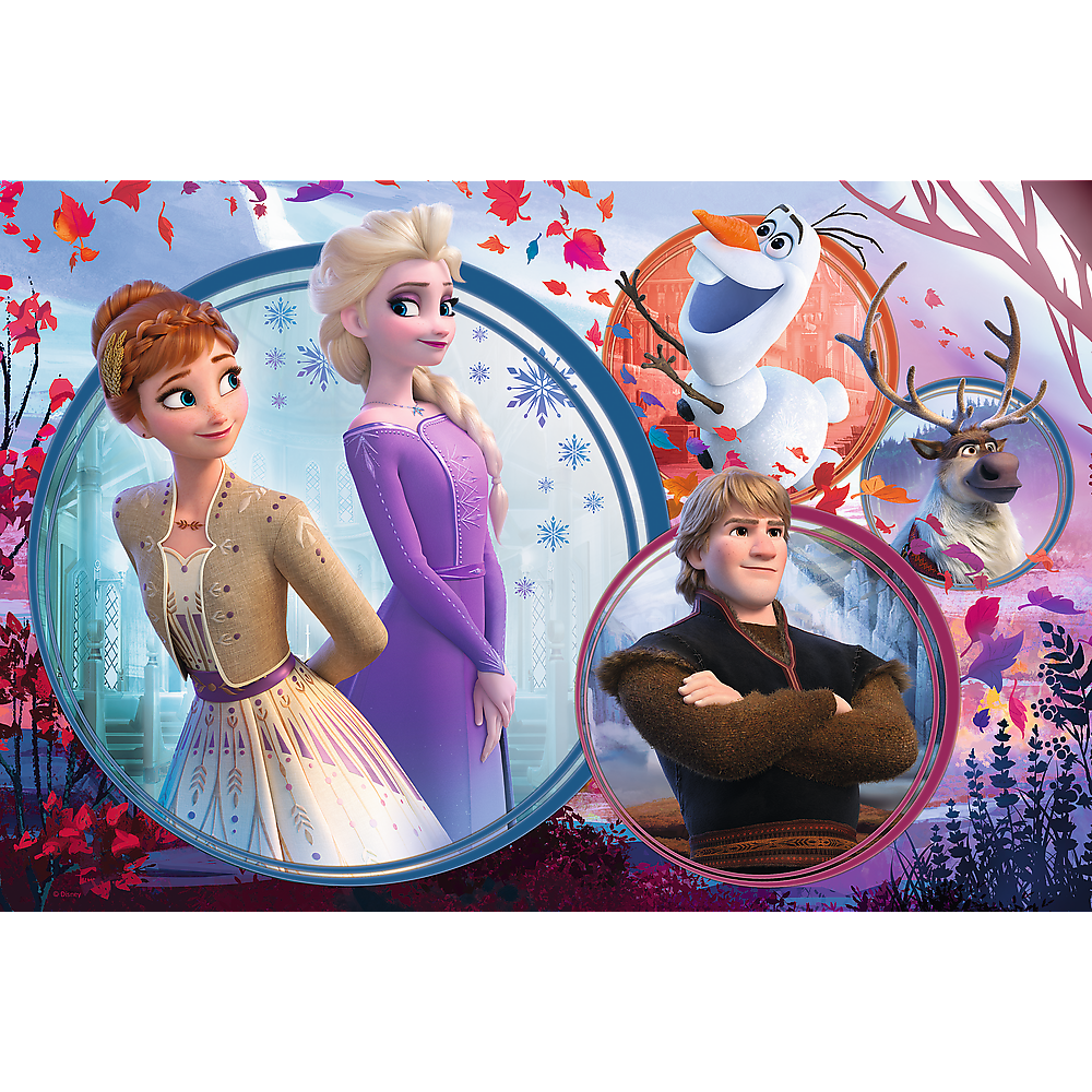 Frozen puzzel