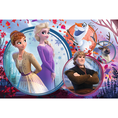 Frozen puzzel