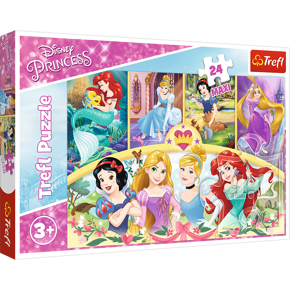 Princess Puzzel - The magic of memories