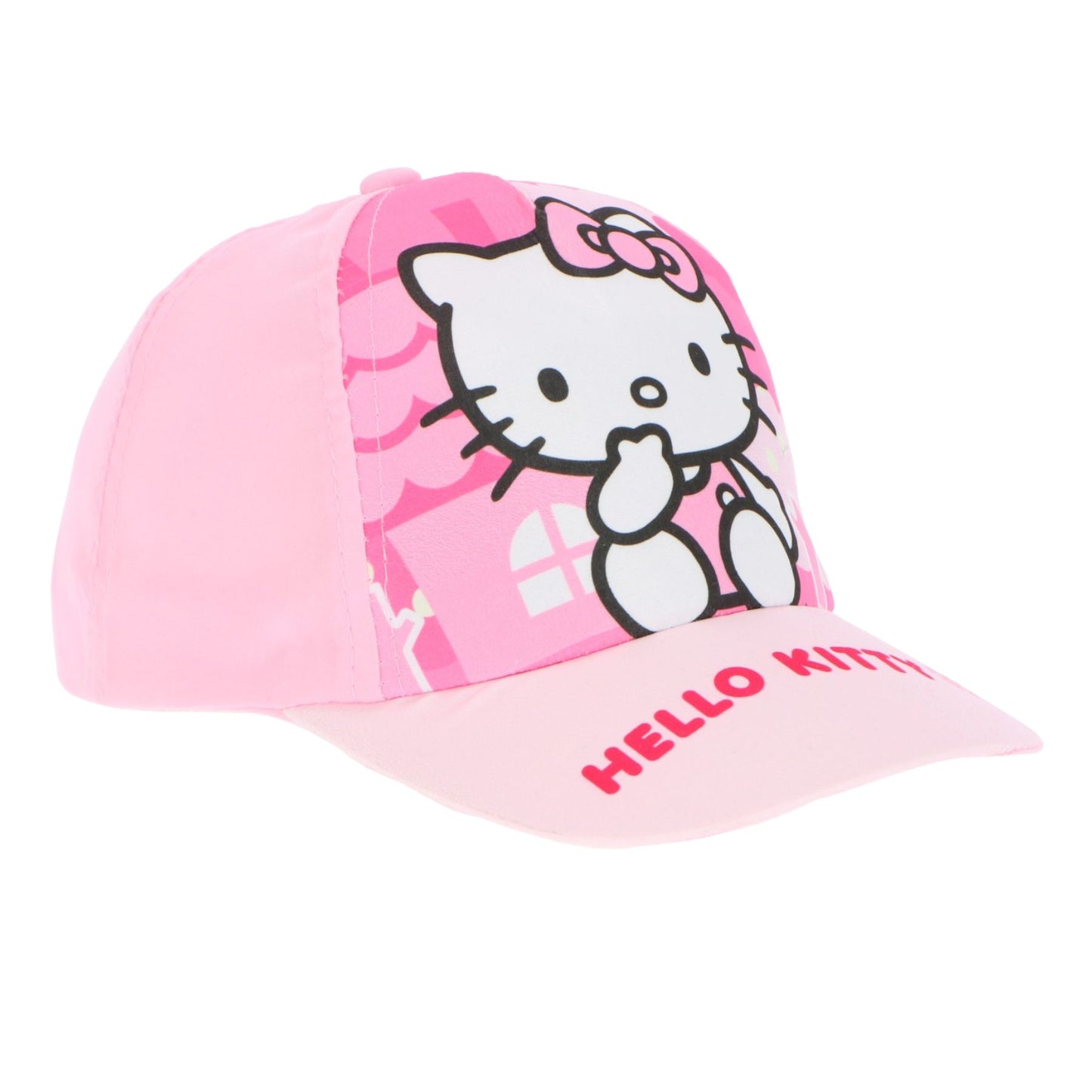 Hello Kitty pet