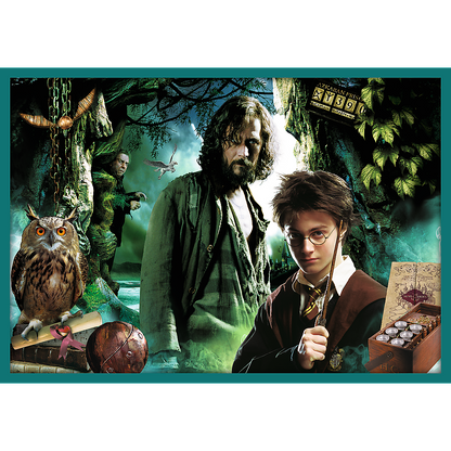 Harry Potter 10-in-1 puzzel