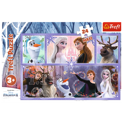 Frozen Puzzel