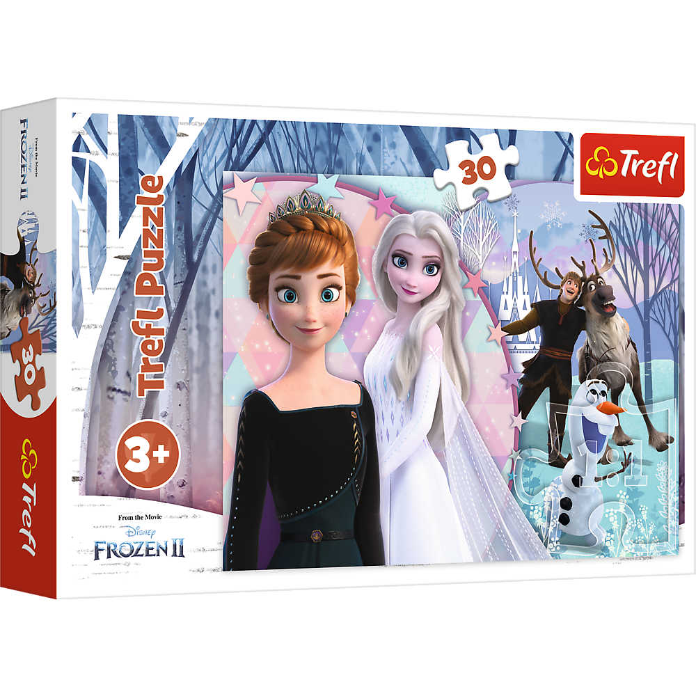 Frozen puzzel
