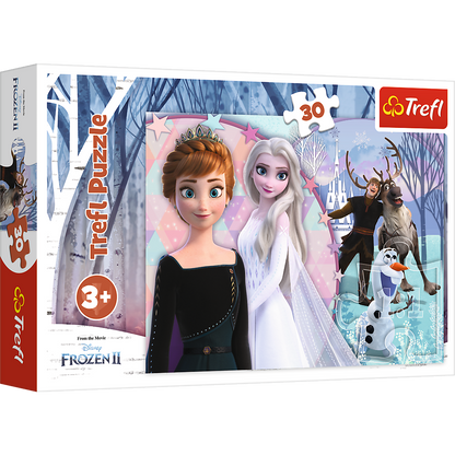 Frozen puzzel