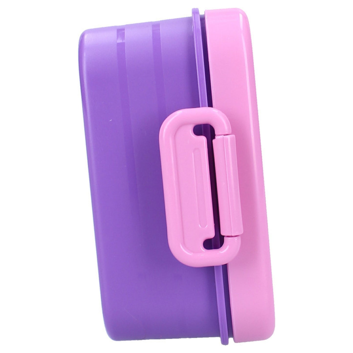 Unicorn Academy lunchbox