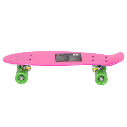 RiDD Penny Board 22"