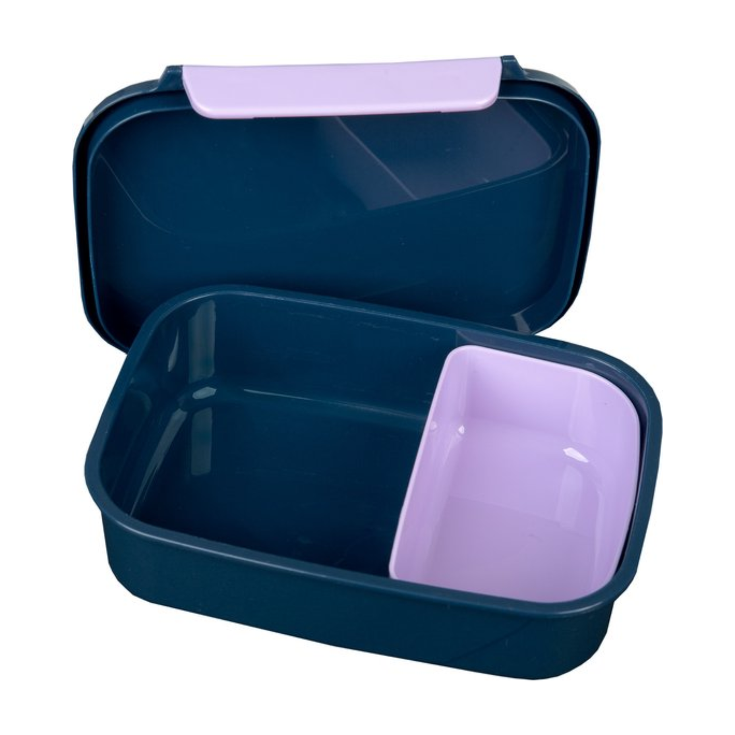 Frozen lunchbox