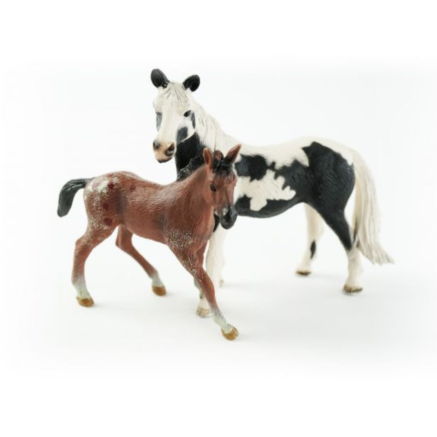 Pinto Paard en veulen