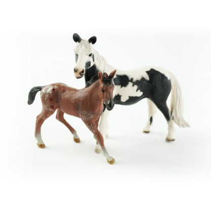 Pinto Paard en veulen