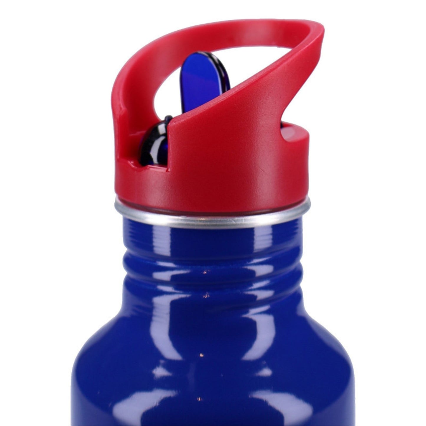 Sonic drinkfles