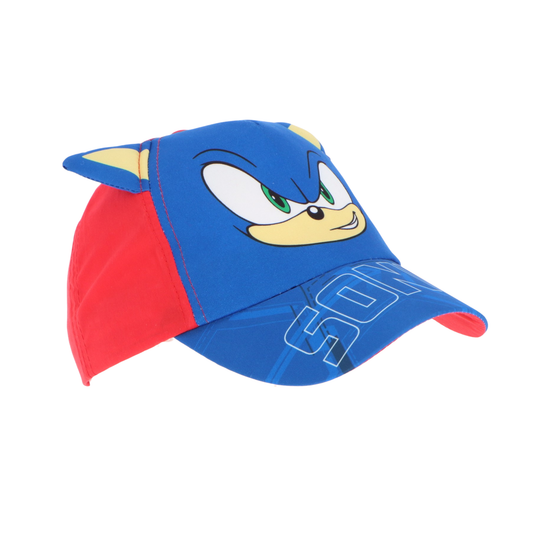 Sonic 3D pet