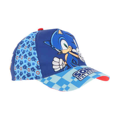 Sonic pet