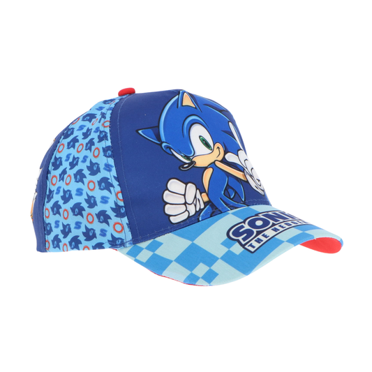 Sonic pet