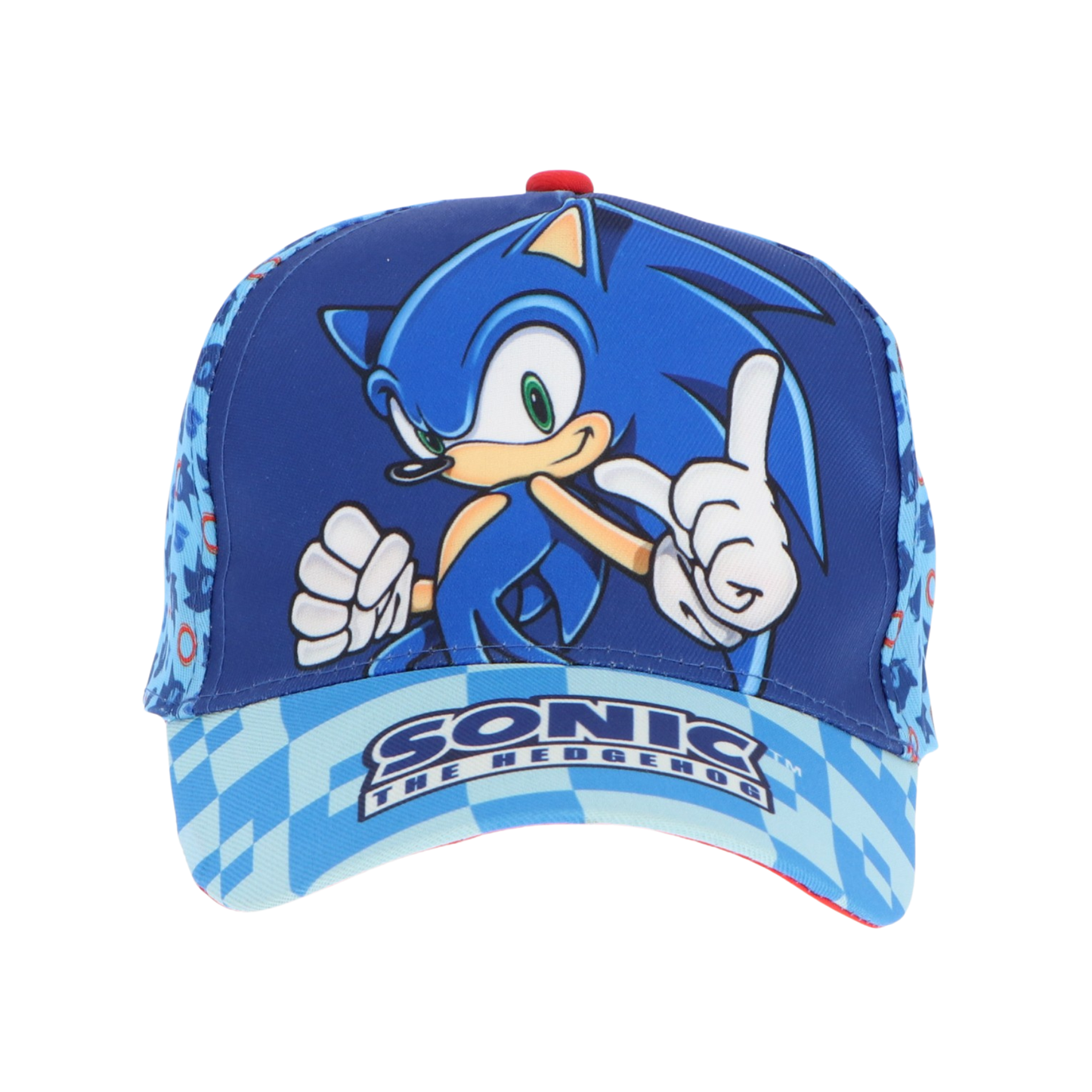 Sonic pet