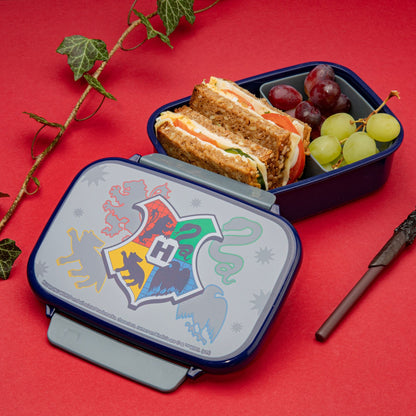Harry Potter lunchbox