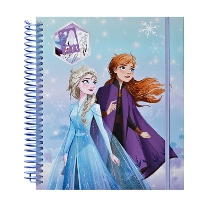Frozen kleurset met stickers en stiften