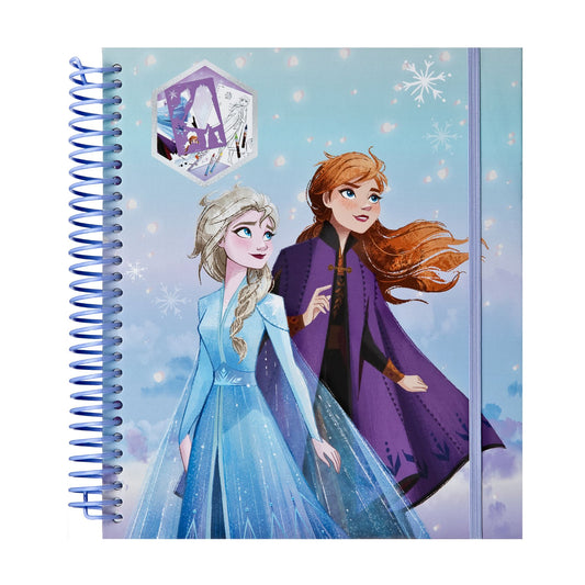 Frozen kleurset met stickers en stiften