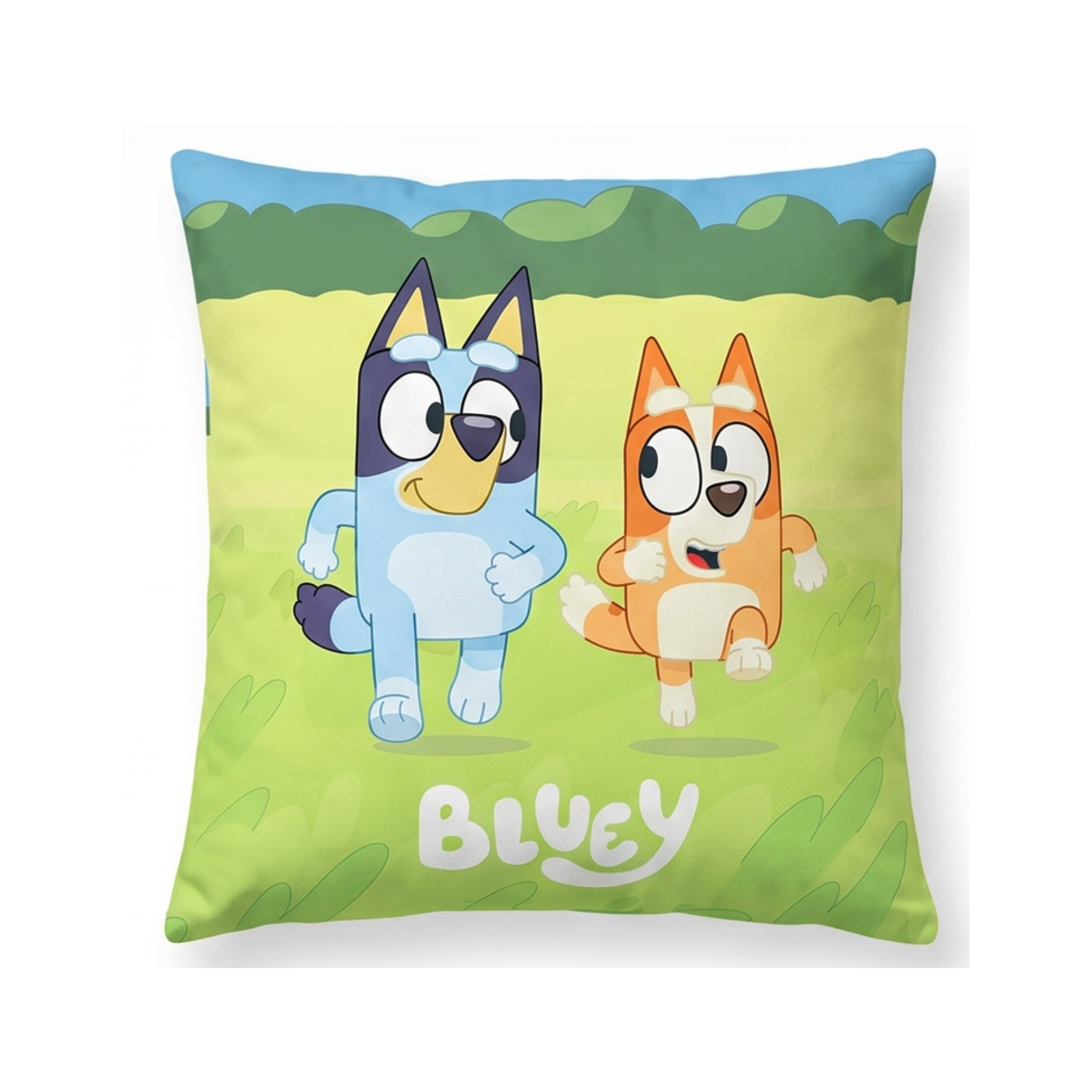 Bluey dekbedovertrek + kussen