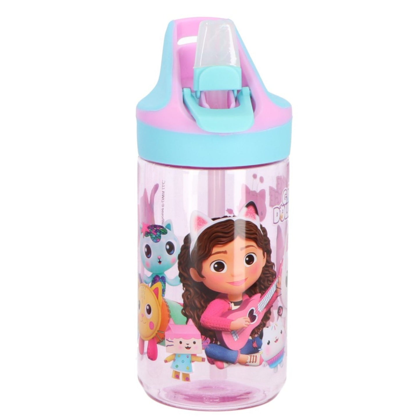 Gabby's Dollhouse drinkfles